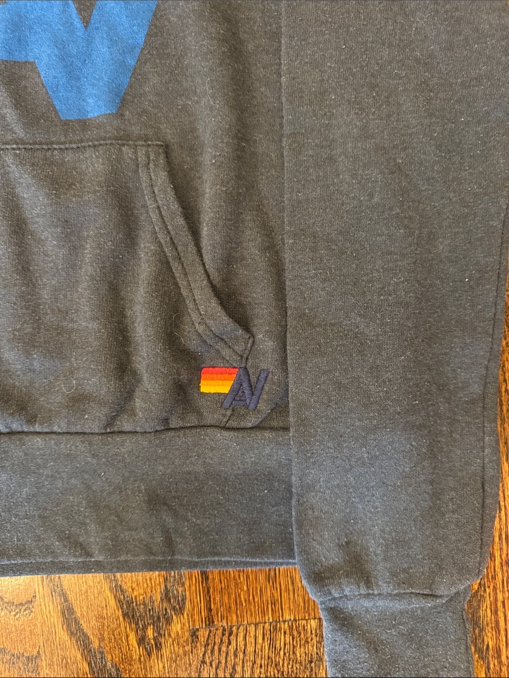 Aviator Nation Charcoal Gray Logo Hoodie Sweatshirt - Picture 3 of 7